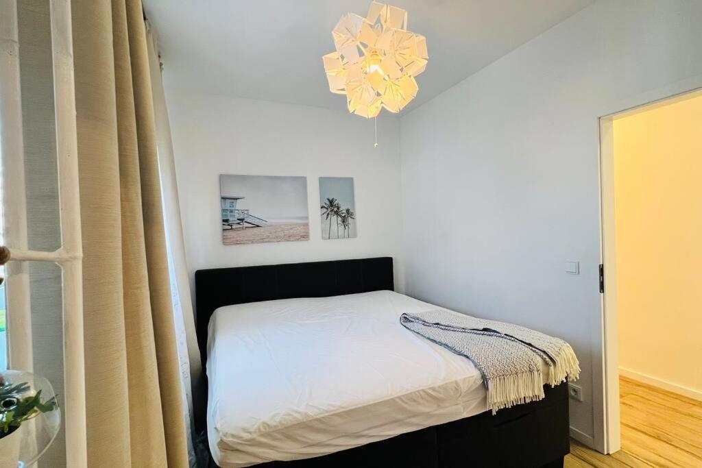 Appartement Designer 3 With Terrace & Parking *